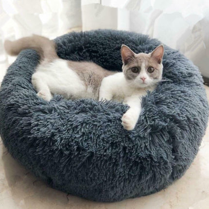 Pet bad