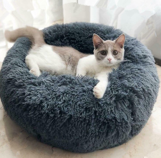Pet bad