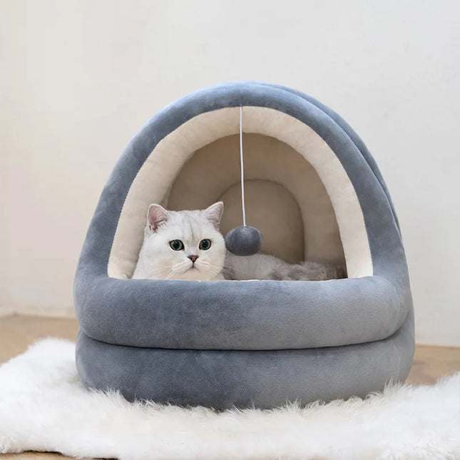 Cat bed