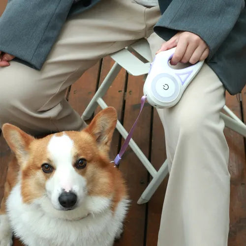 Retractable leash