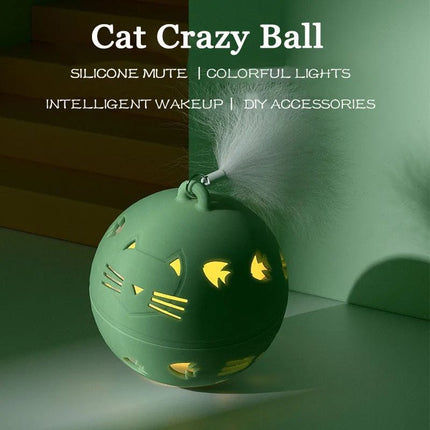 Interactive Pet Toy